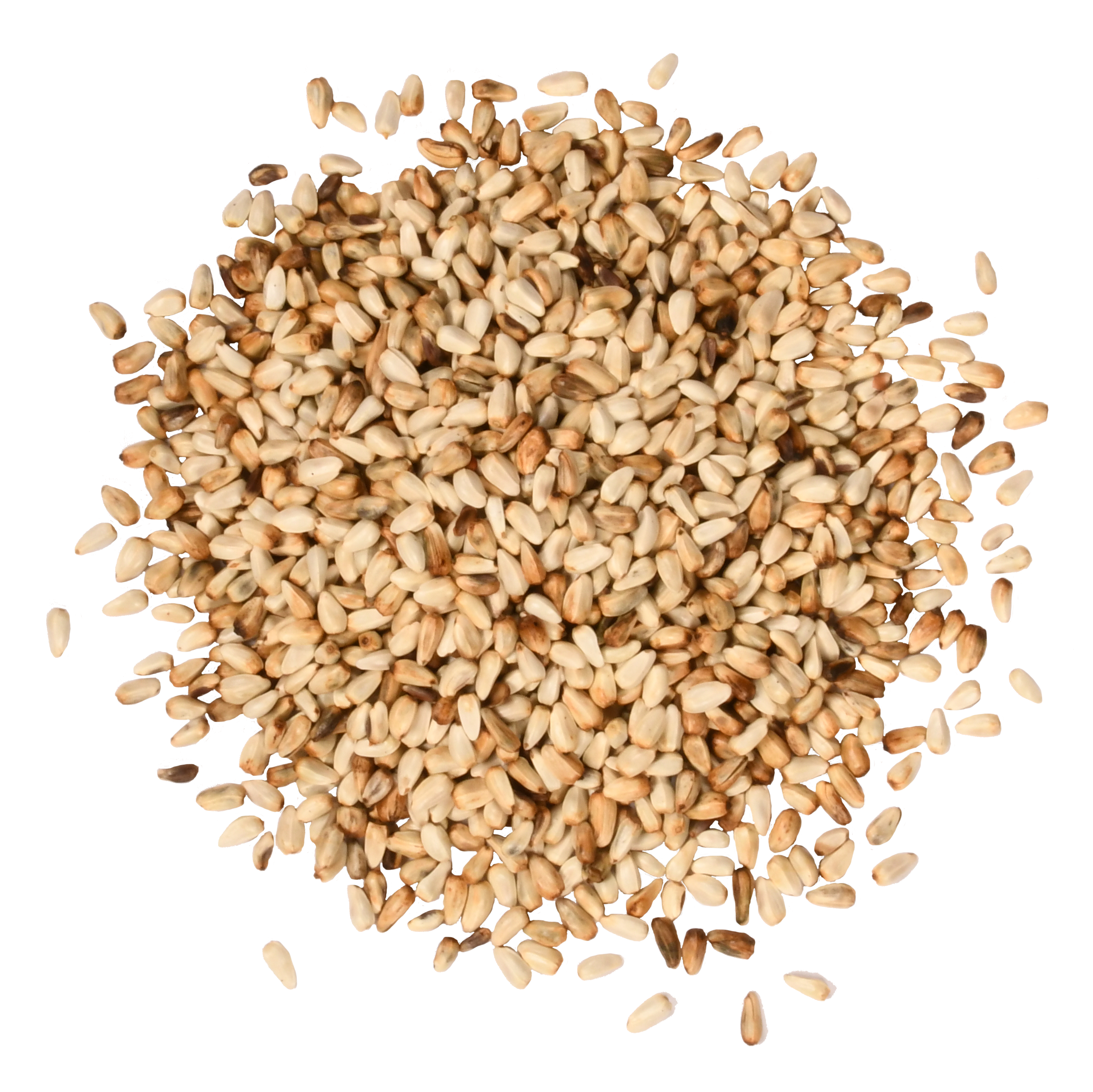 safflower plant seeds Safflower – ForTheBirds.com