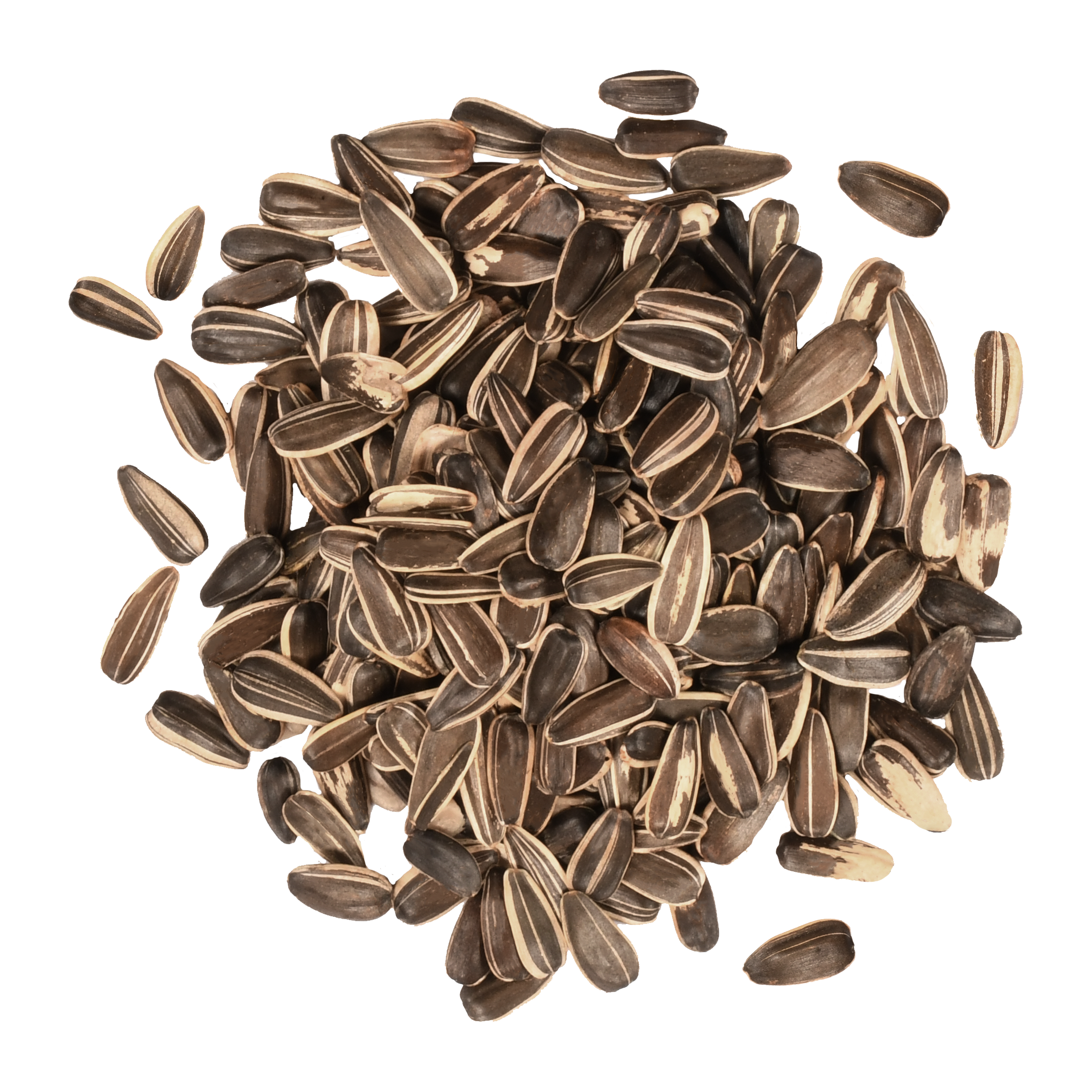 grey striped sunflower seeds for planting Striped Sunflower – ForTheBirds.com