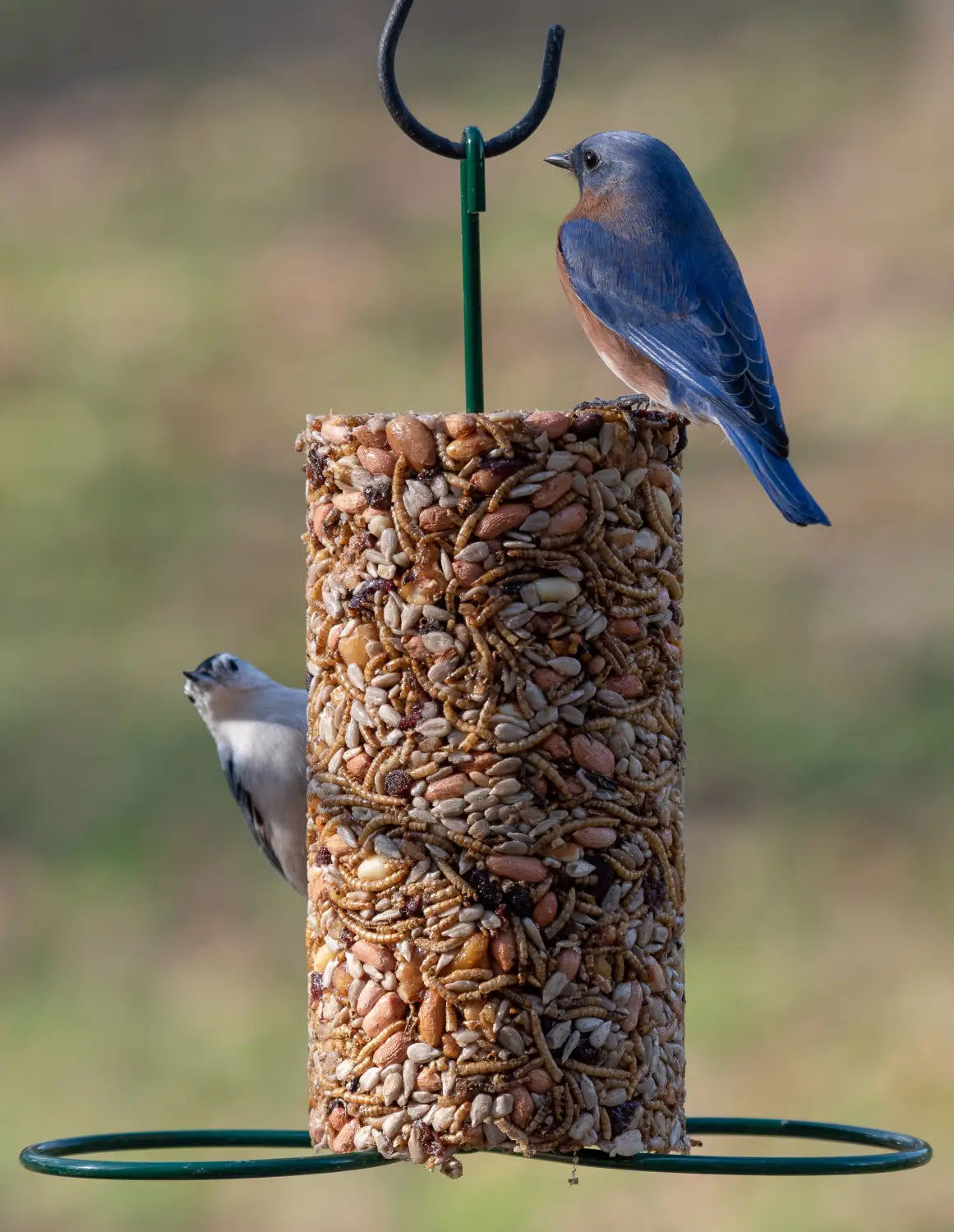 Bird Seed Cylinder