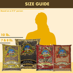 Best Sellers Bundle with Free Feeder