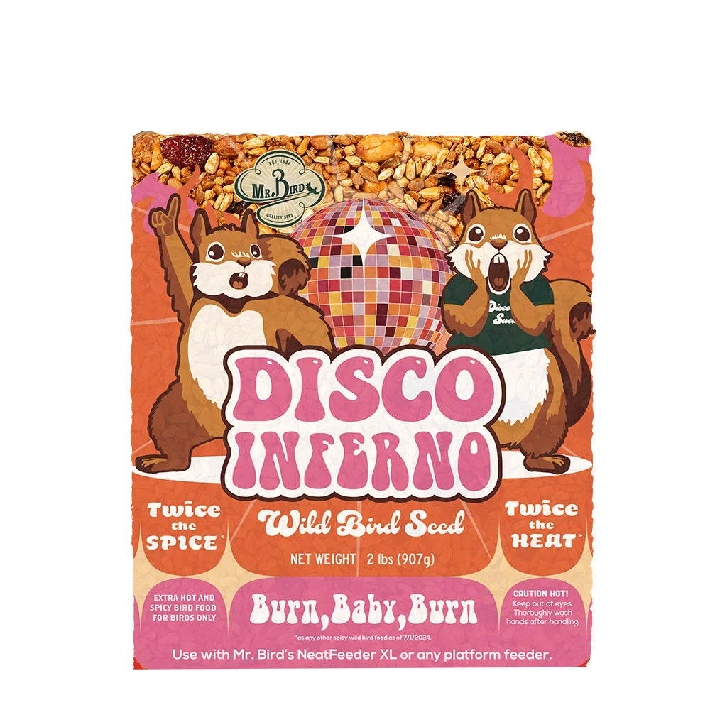 Disco Inferno - Seed Cake