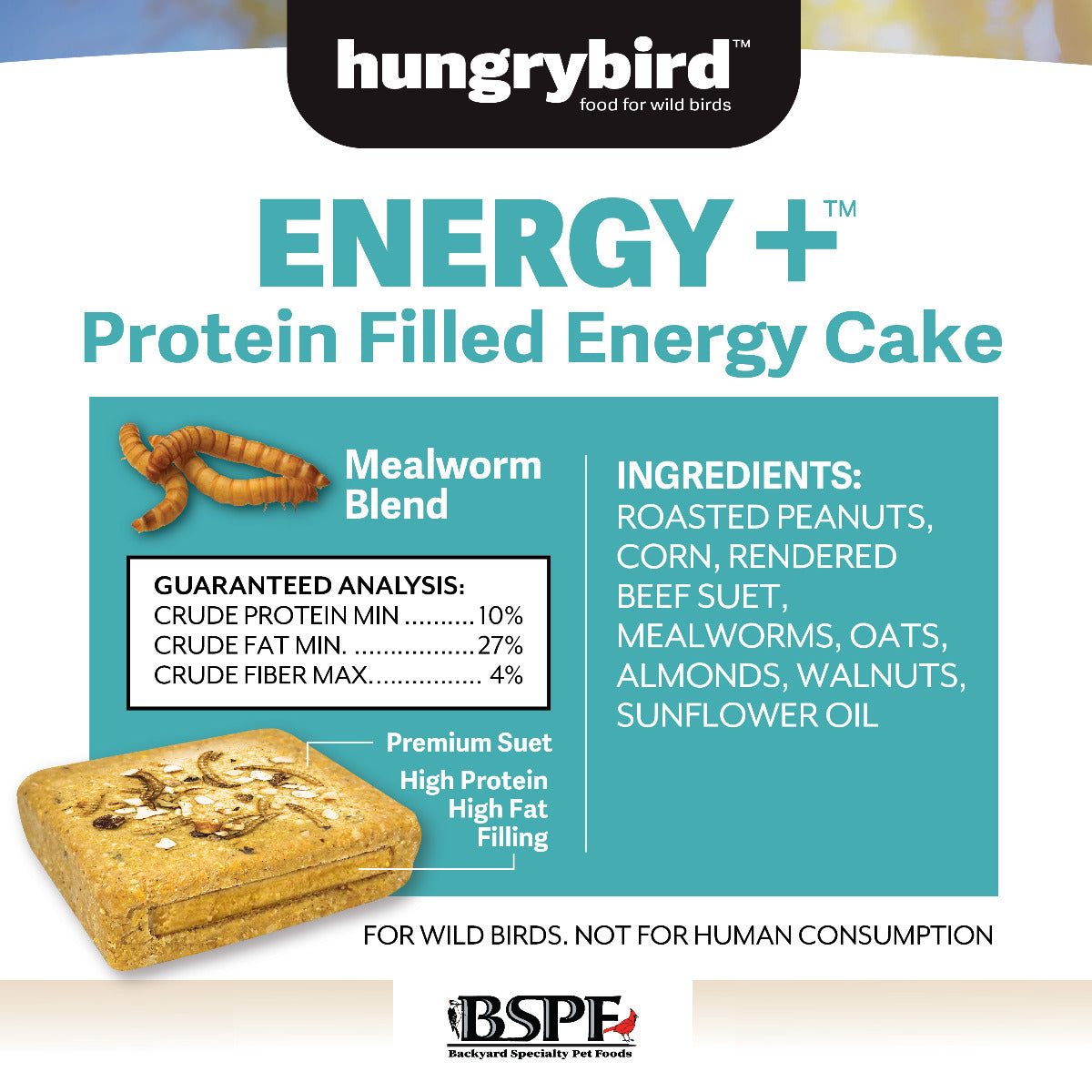 Mealworm Filled Energy Plus™ Protein Energy Cake