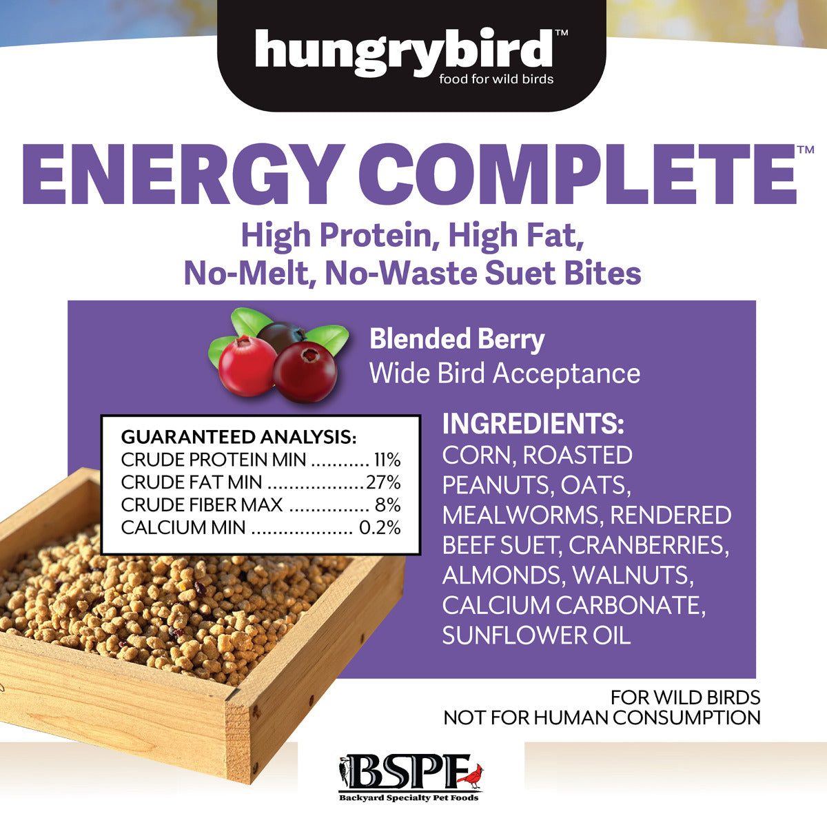 Blended Berry Energy Complete™ High Protein Suet Bites