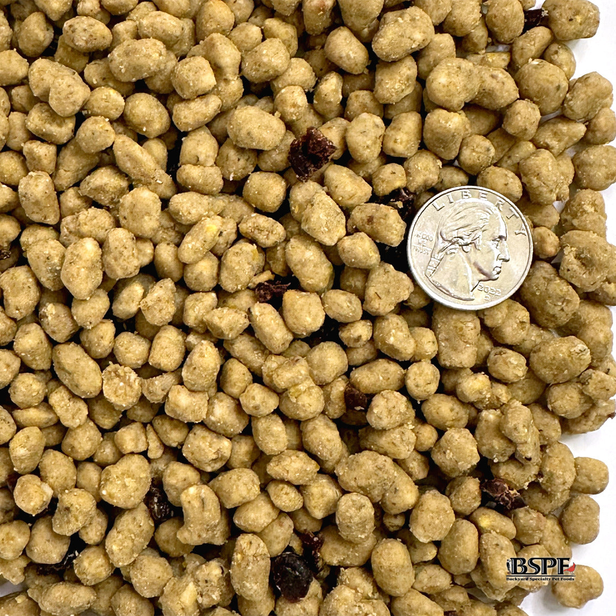 Blended Berry Energy Complete™ High Protein Suet Bites