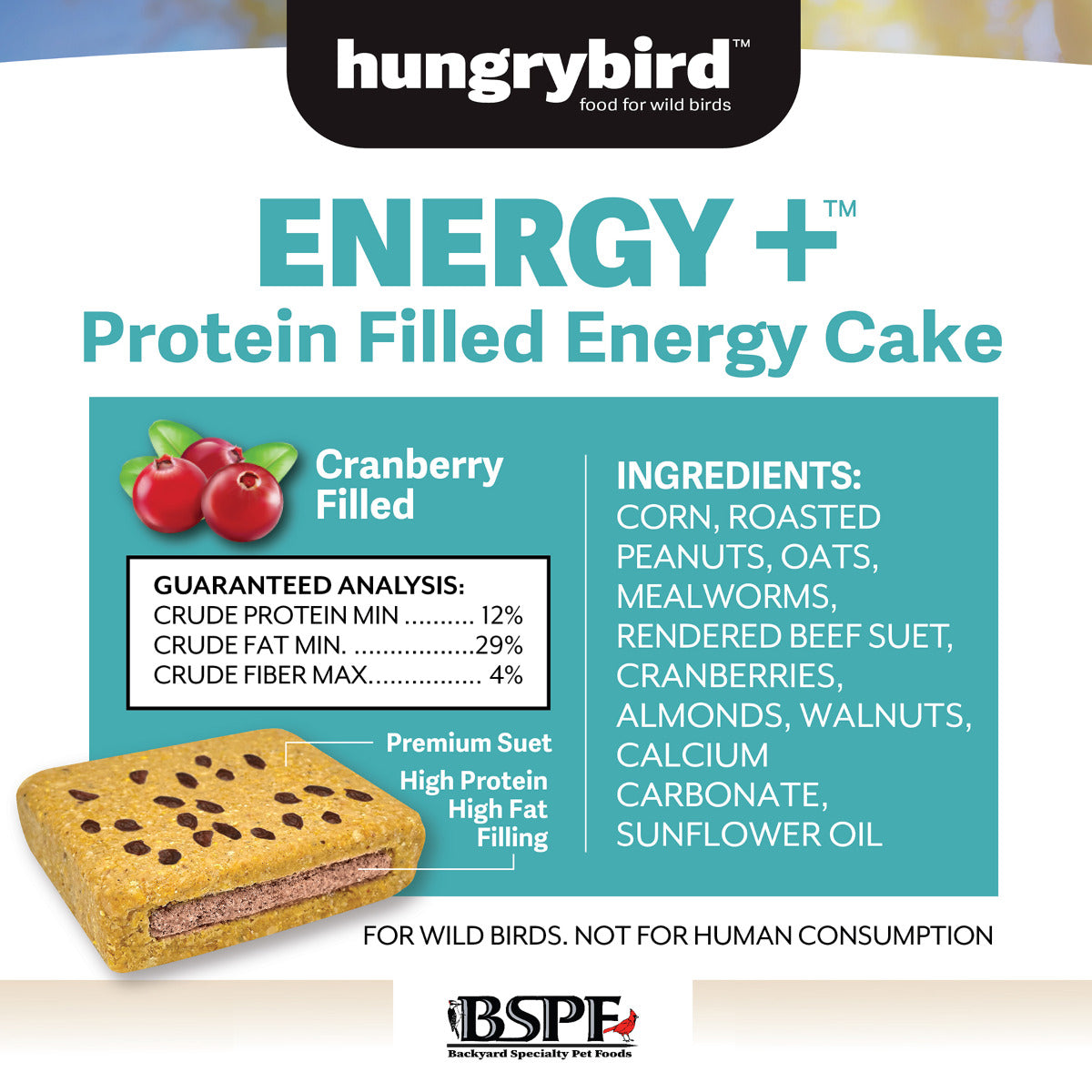 Cranberry Filled Energy Plus™ Protein Energy Cake
