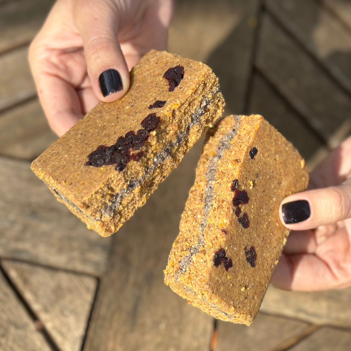 Cranberry Filled Energy Plus™ Protein Energy Cake
