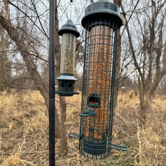 Squirrel Buster Classic Feeder