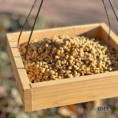 Blended Berry Energy Complete™ High Protein Suet Bites