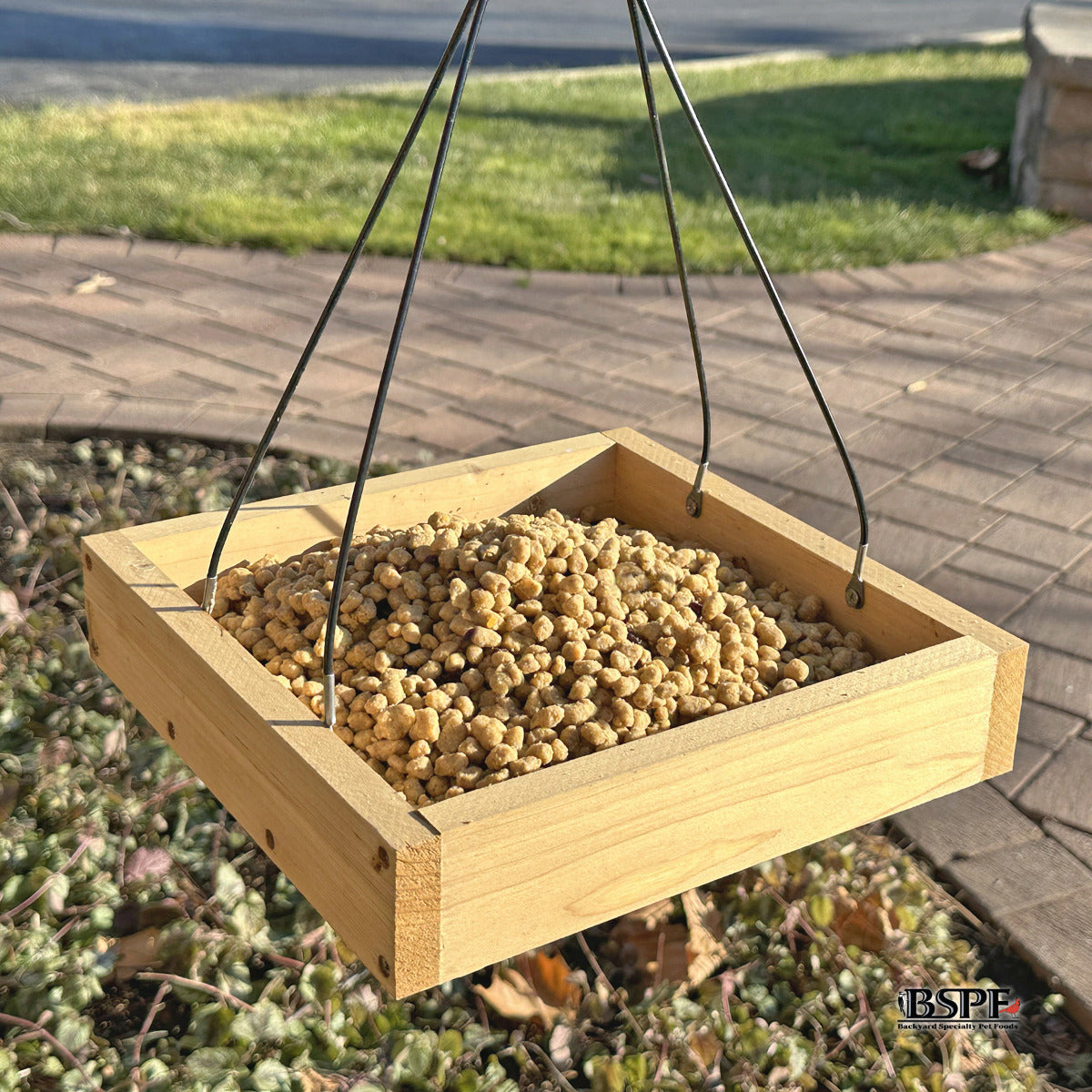 Peanut Butter Energy Complete™ High Protein Suet Bites