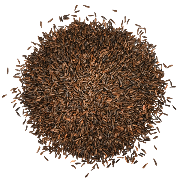 thistle nyjer seed plant Nyjer® Thistle – ForTheBirds.com