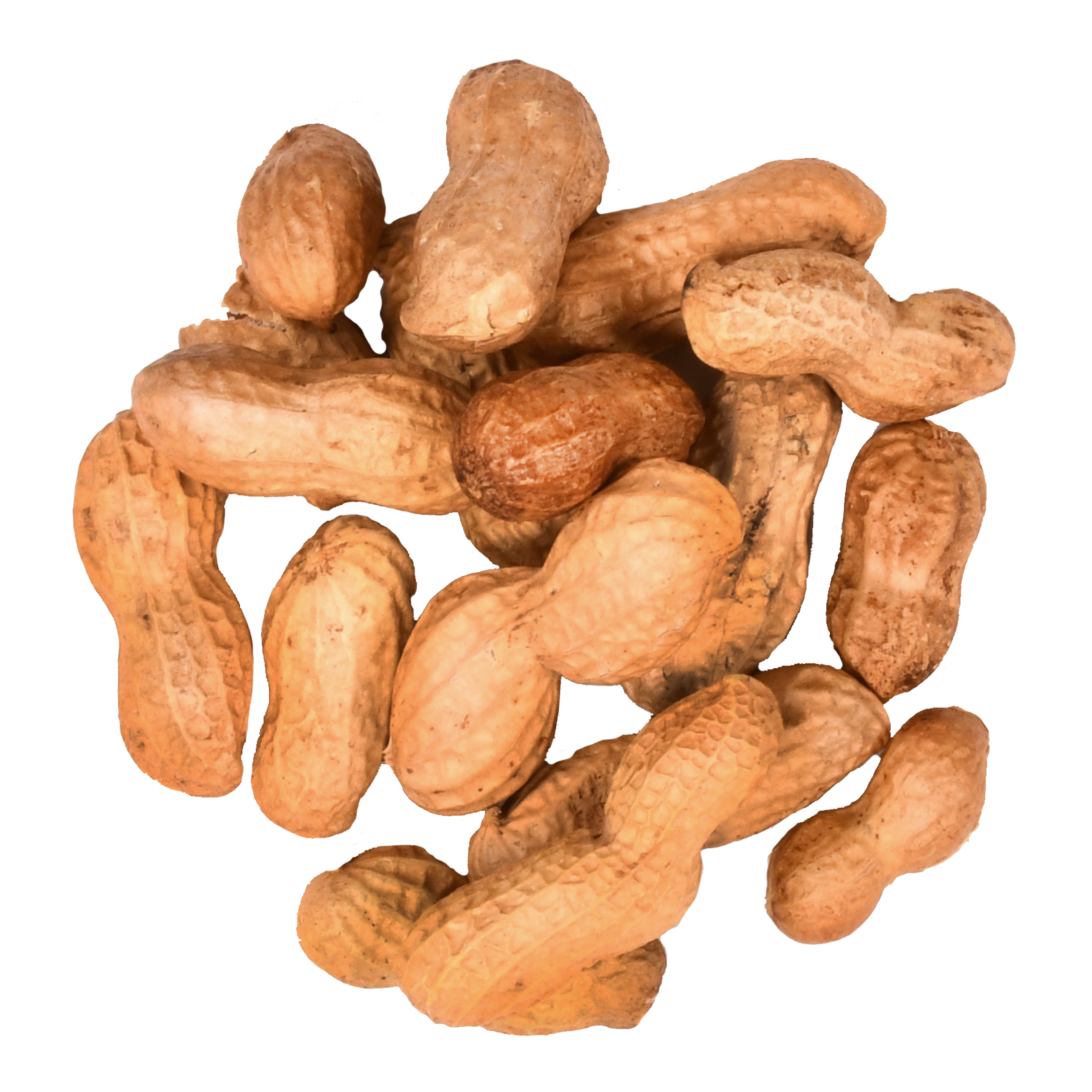 Peanuts In The Shell