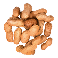 Peanuts In The Shell