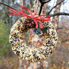 Holiday Wildfeast Seed Wreath