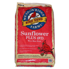 Sunflower Plus